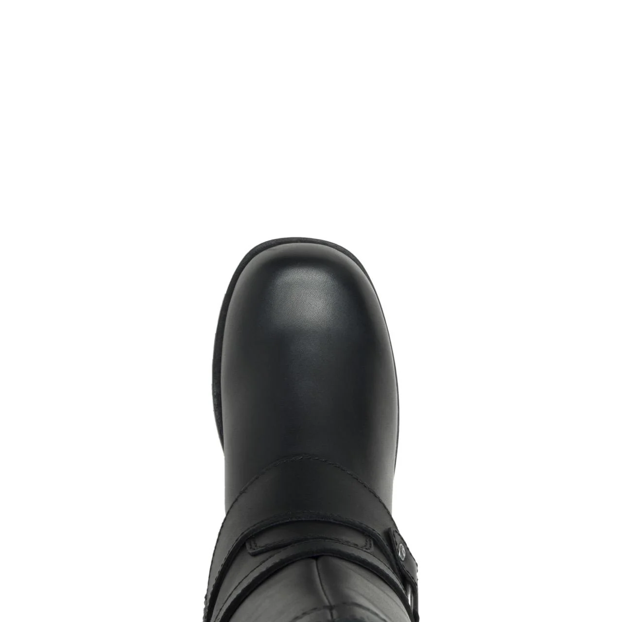 Amber - Black - Image 7