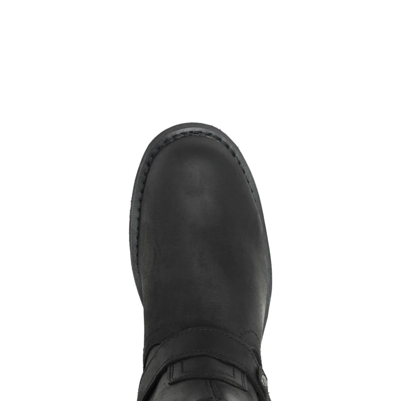 Scout - Black - Image 7