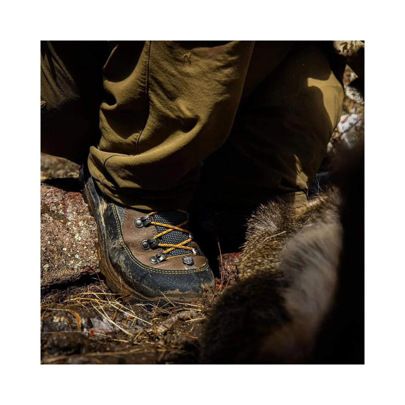 Ursa MS 7" Brown/Gold GTX - Image 2